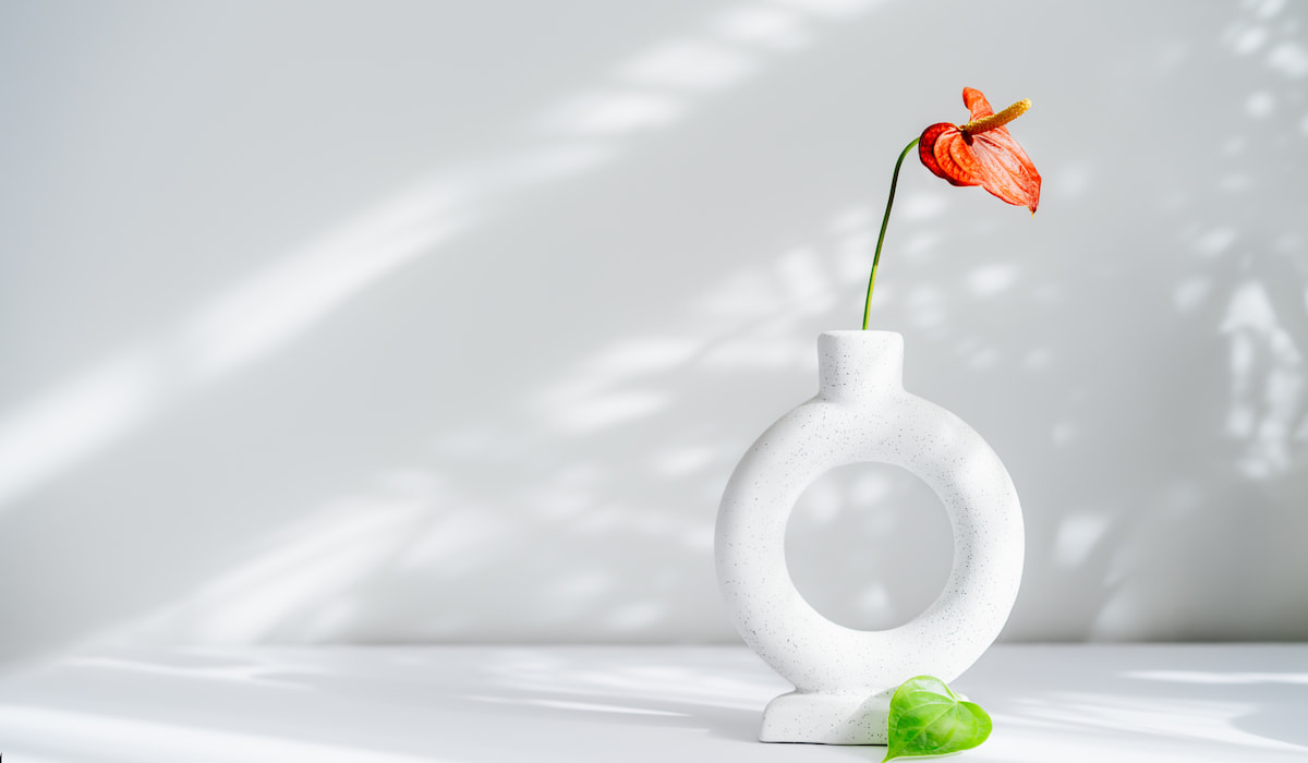 Modern minimalist nordic round ceramic vase with red flower of Anthurium and green leaf