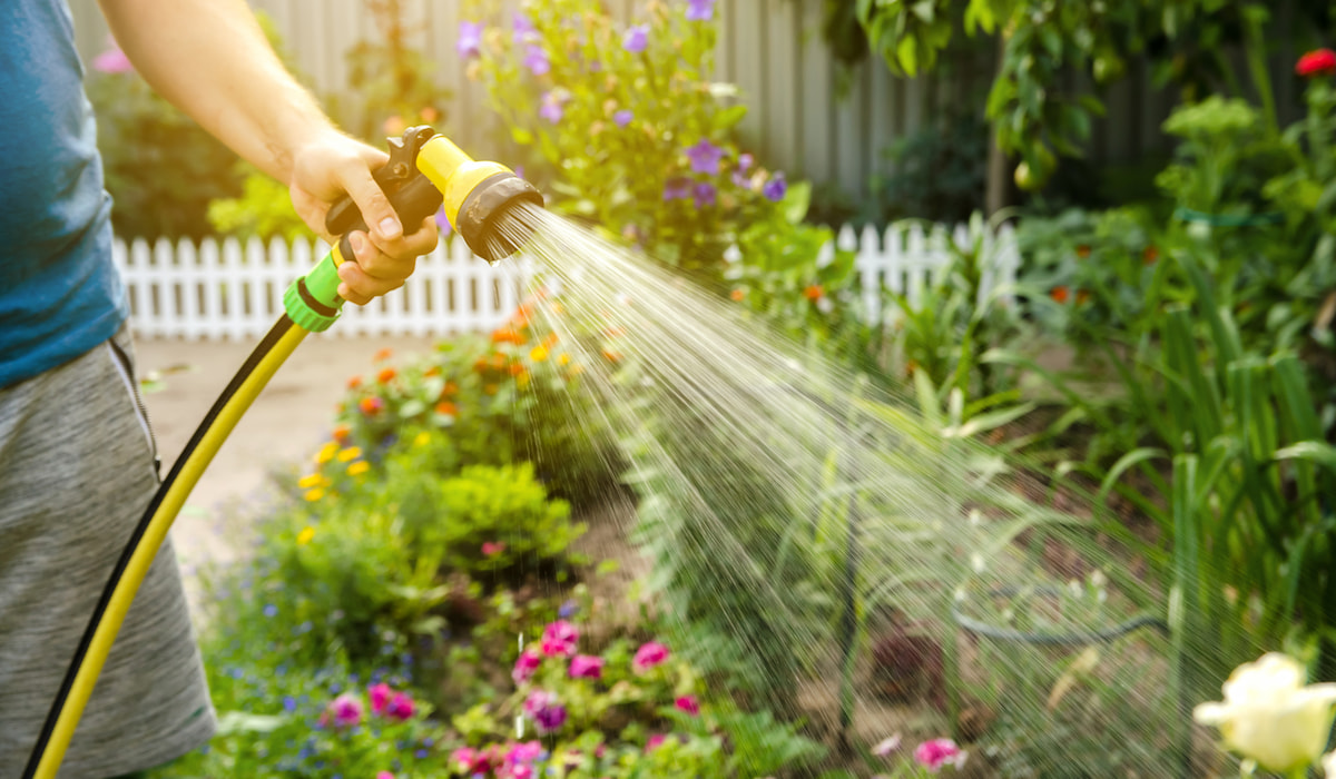 Can a Garden Hose Handle Hot Water? Gardening Glow