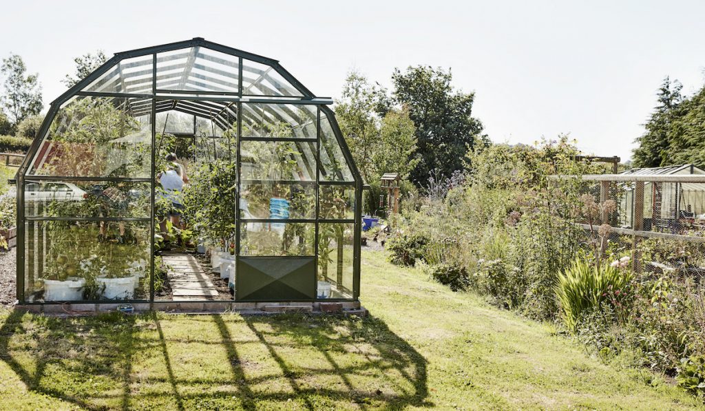 A person tending plants in a greenhouse in a garden.

