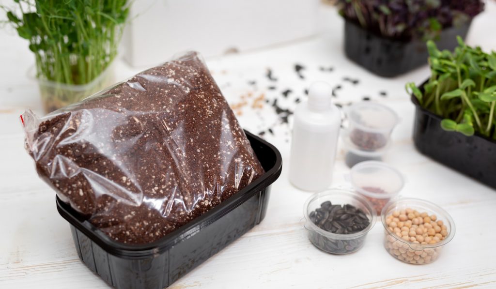  A set of seeds of different plants t soil in a box.