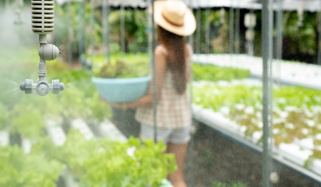 Automatic mist sprinkler in greenhouse 