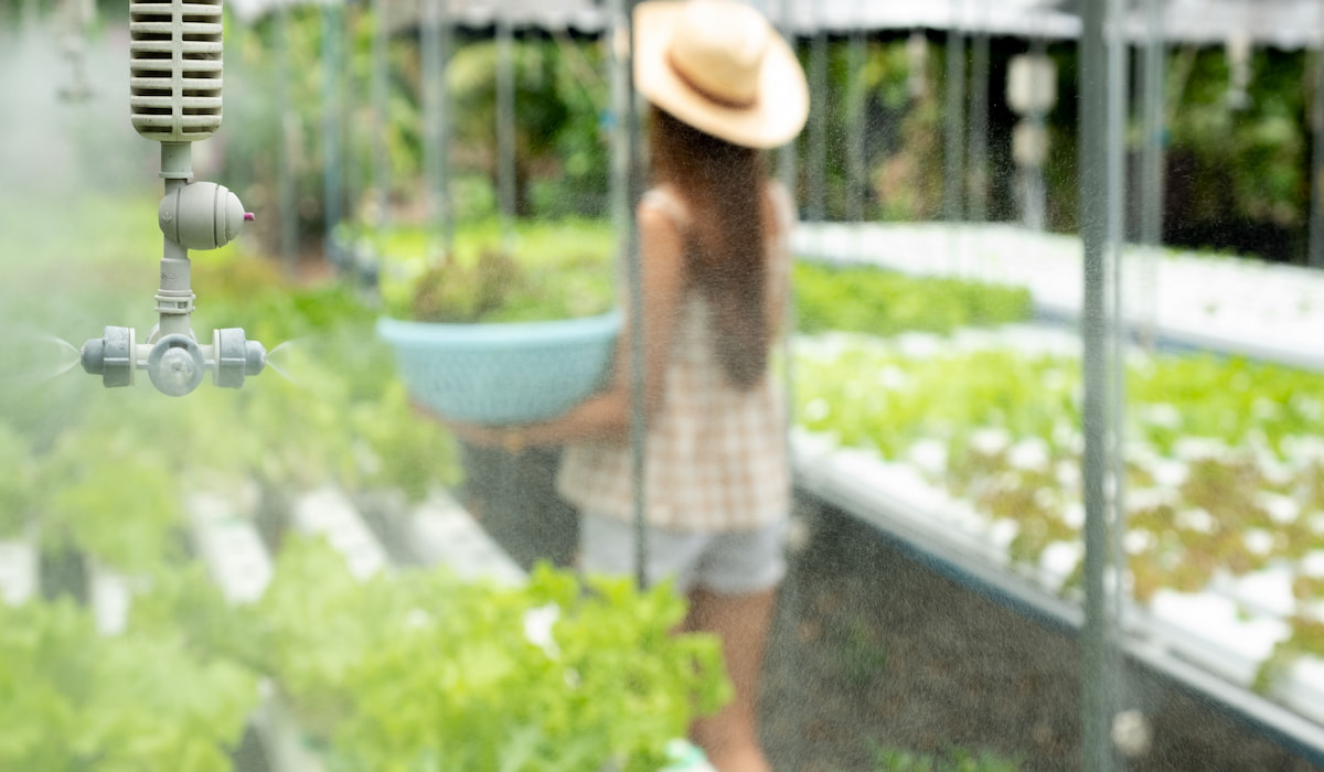 11 Ways to Cool a Greenhouse Without Electricity Gardening Glow