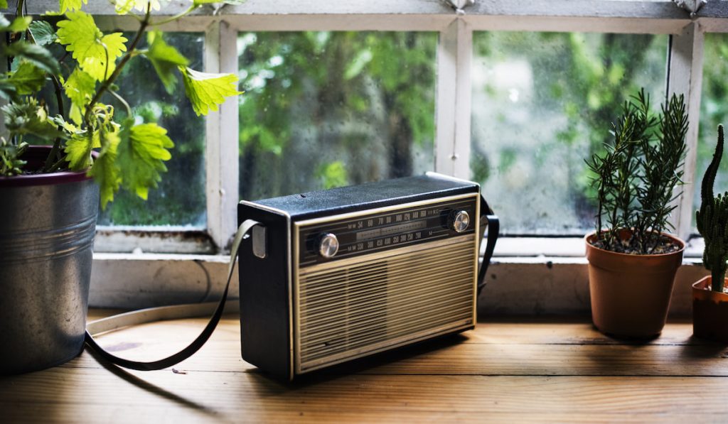 Closeup of vintage radio on wooden table near garden