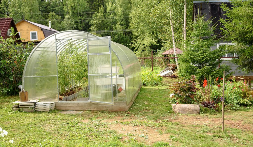 Greenhouse in the backyard with an open door.
