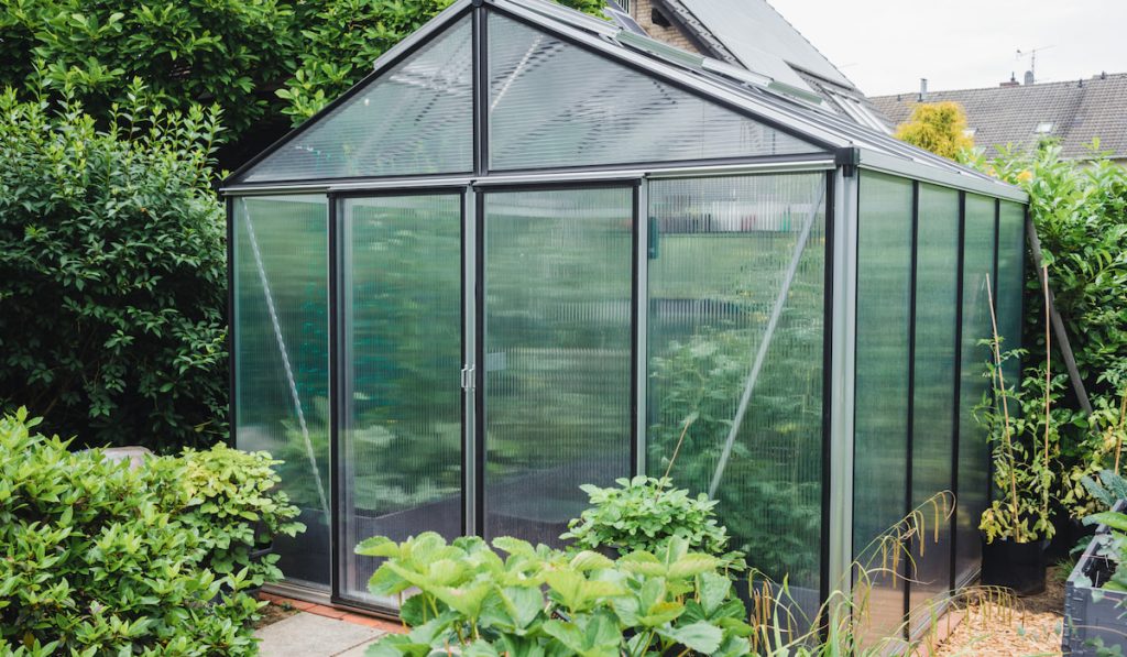 Greenhouse with extra thick poycarbonate panels for insulation in a garden

