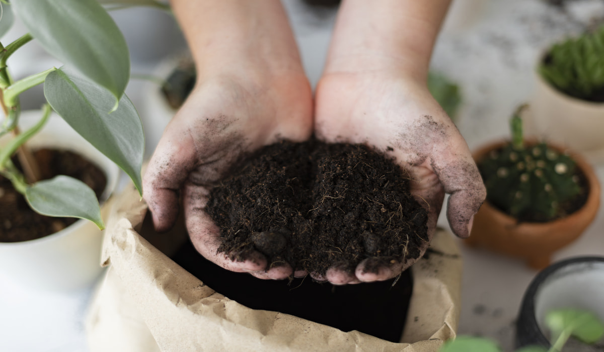 Can You Mix Garden Soil and Potting Mix? Gardening Glow