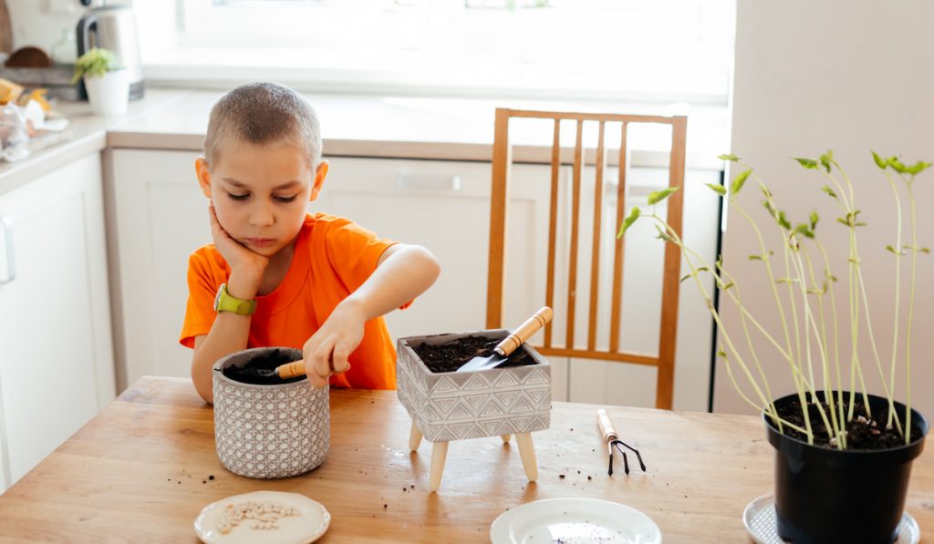 Kid learning to plant seed by himself for his school project