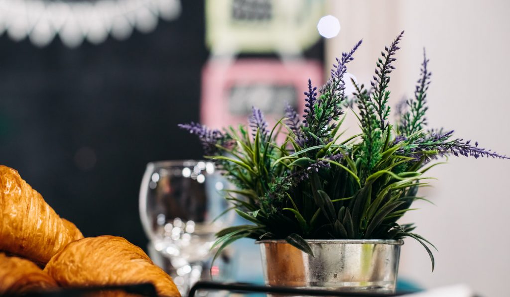 Lavender in pot drying up, croissants on backround