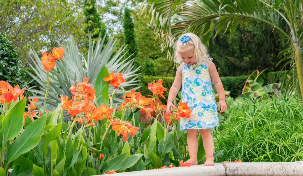 Little blonde girl with canna lilies
