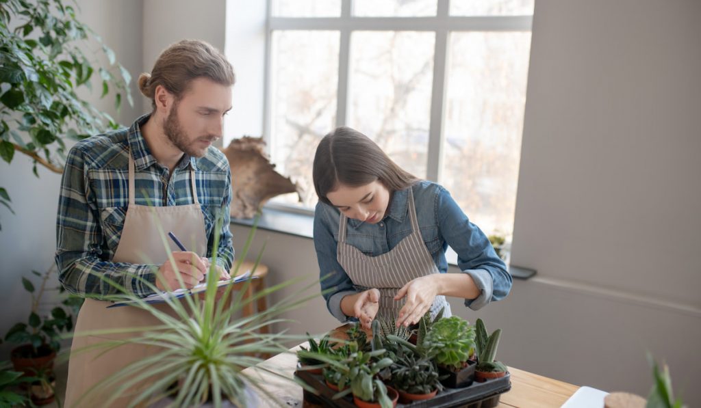 Man and a woman checking succulents in the plant house
