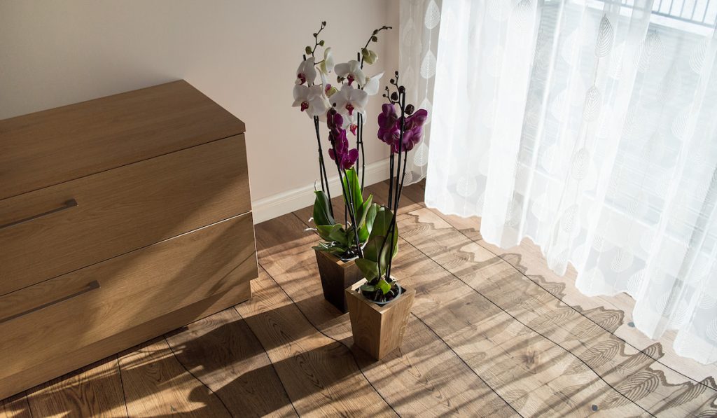 Orchids in wooden decorative flower pots on wooden floor
