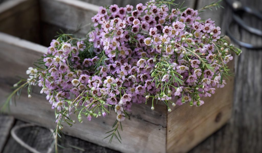 Pink wax flowers in a wooden crate
