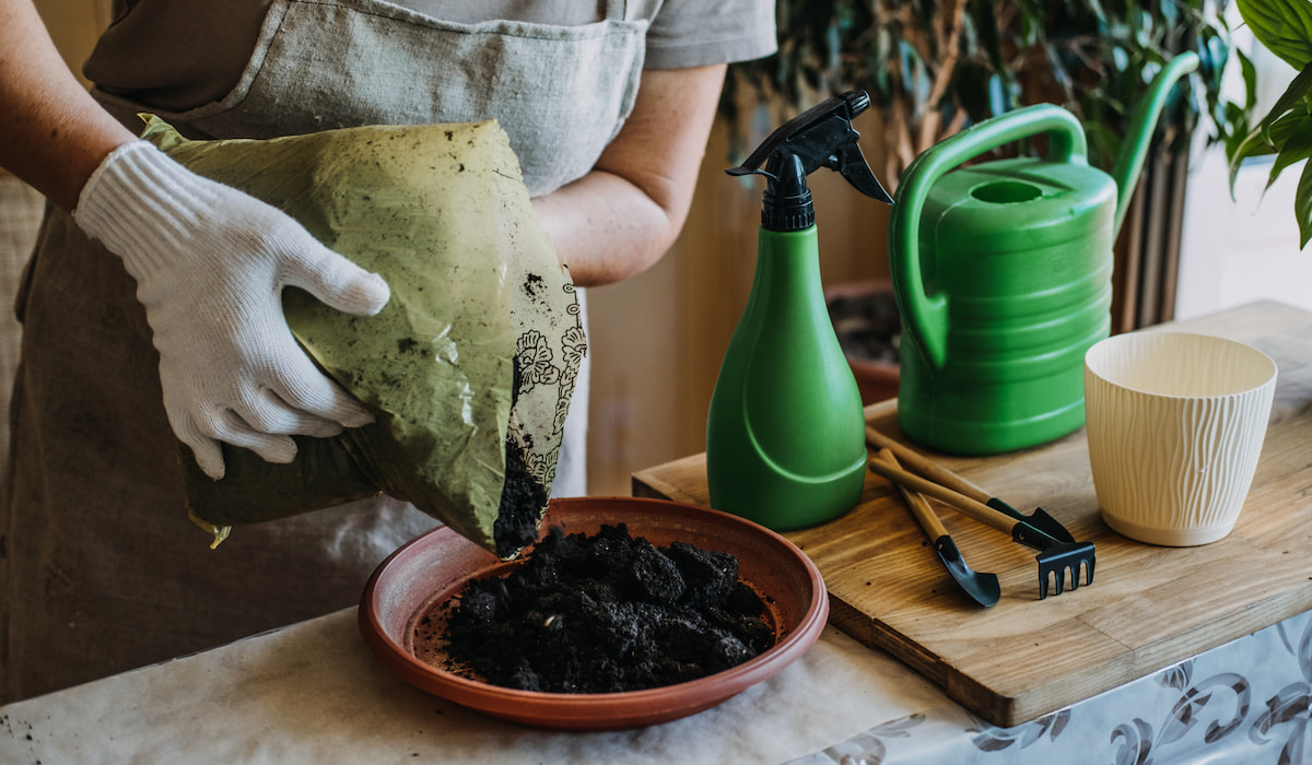 Does Adding Sand to Soil Improve Drainage? Gardening Glow