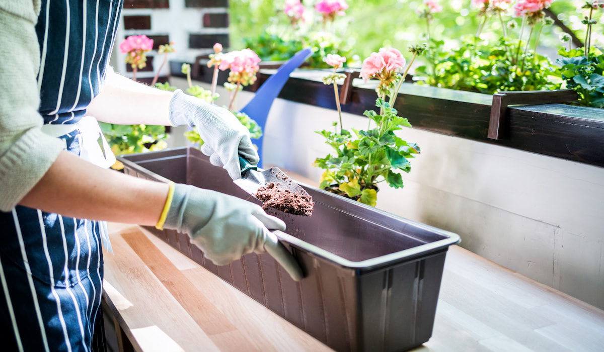 Can You Mix Garden Soil and Potting Mix? Gardening Glow