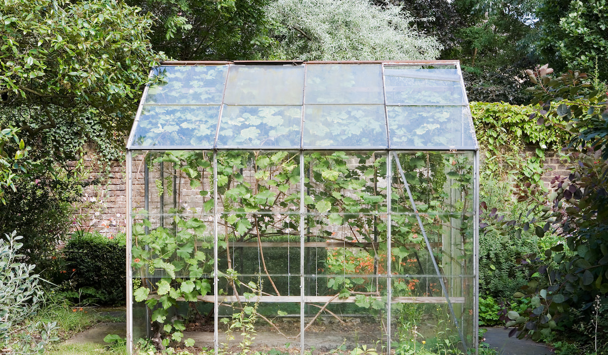 11 Ways to Cool a Greenhouse Without Electricity Gardening Glow