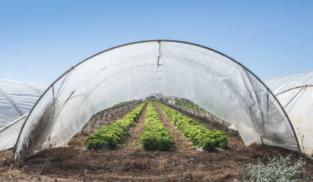 7 Shade Cloth Options for Your Greenhouse (and when to use them