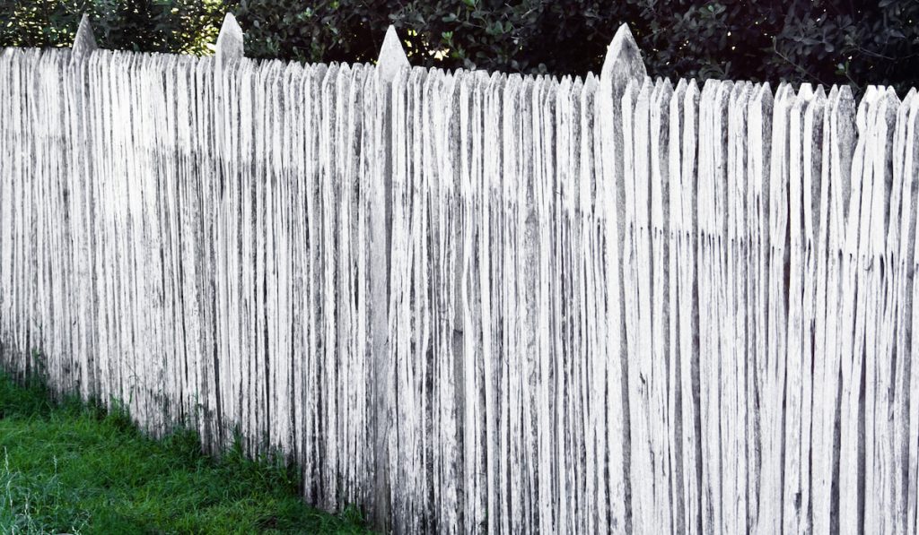 White Wooden Picket Fence
