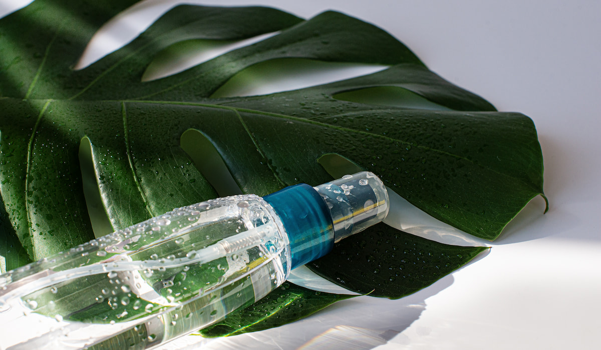 Do Succulents Attract Bugs? Gardening Glow