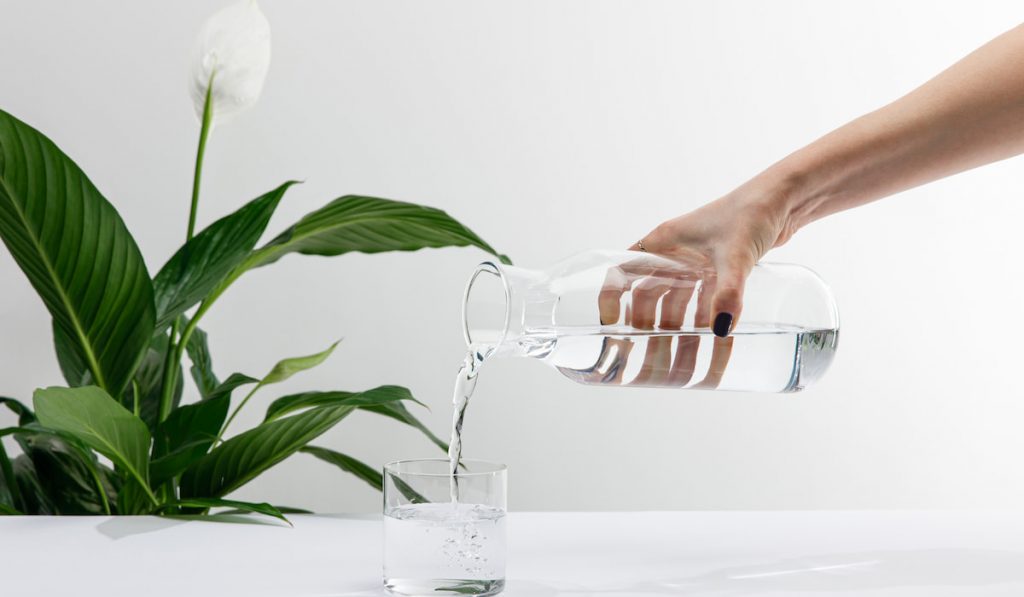 cropped view of woman pouring water from bottle in glass near green peace lily plant 