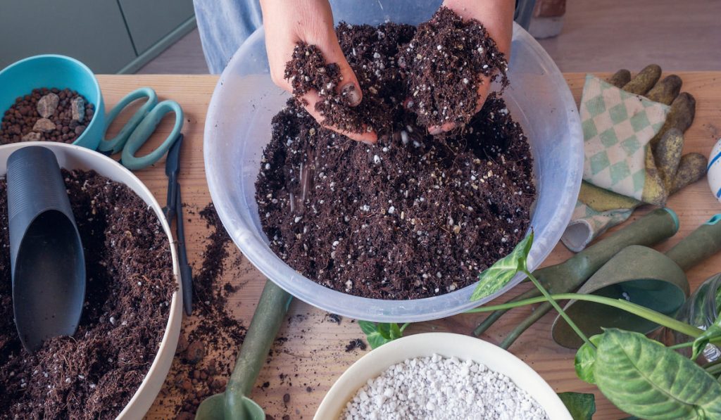 hand holding potting mix for indoor potted plant