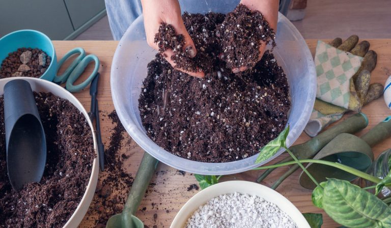 Can You Mix Garden Soil and Potting Mix?