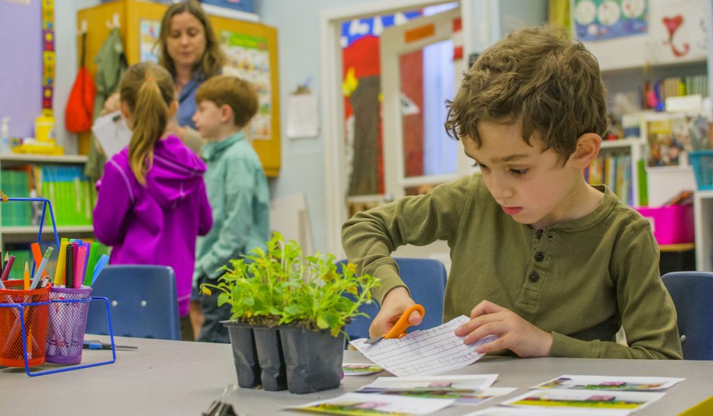 kid student working on his plant project in classroom