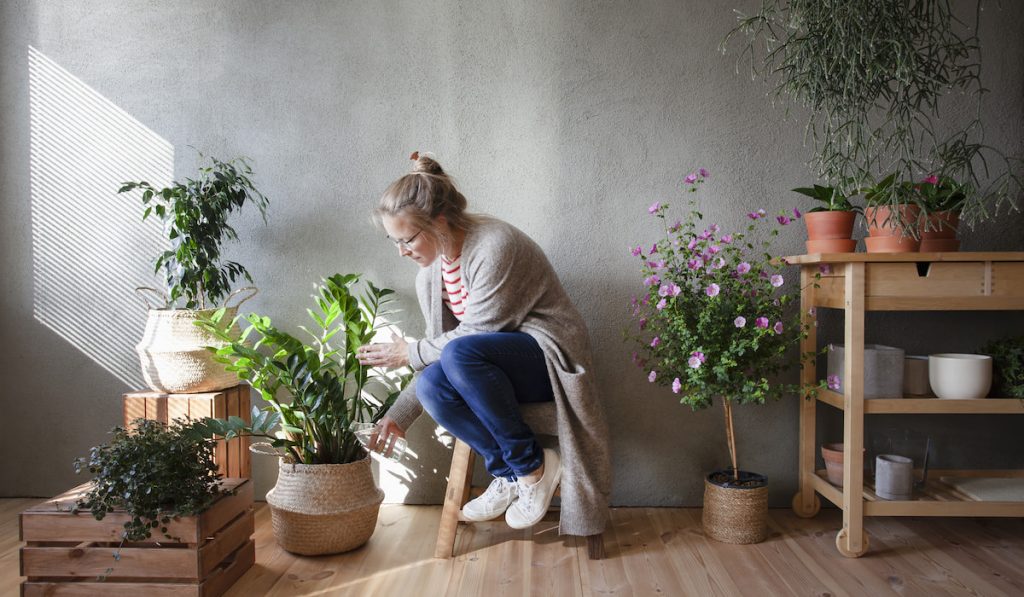 woman checking and watering her indoor plants
