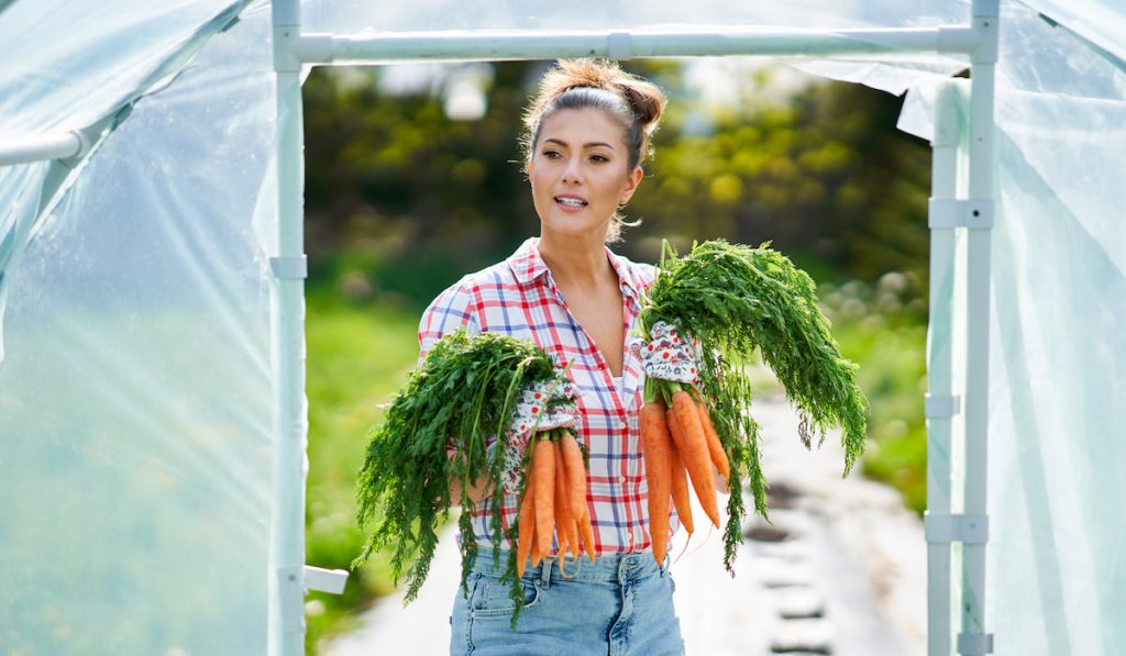  woman with carrots in greenhouse